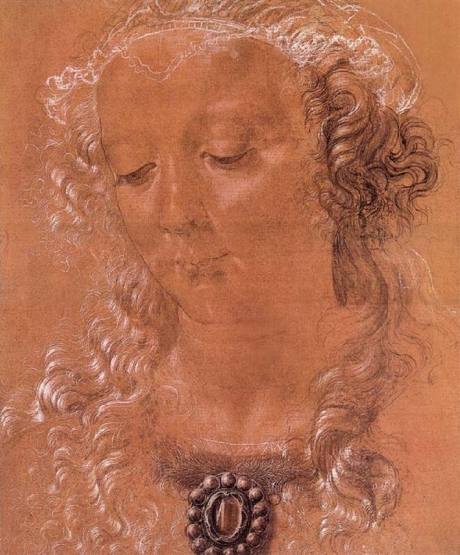Andrea del Verrocchio Halfte second women head oil painting picture